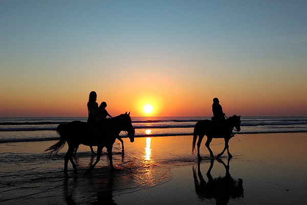 Equitation à Ondres sur la plage