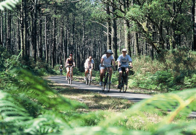 vélo et VTT