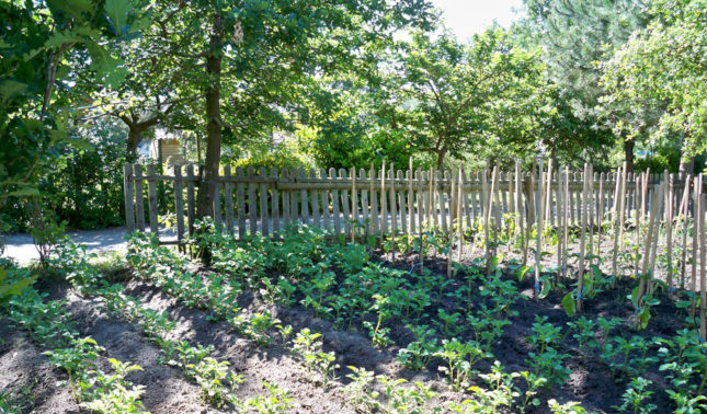 potager camping espace blue océan