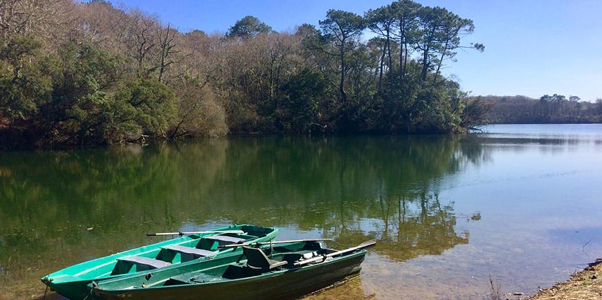 Actividades y fiestas - camping Blue Océan