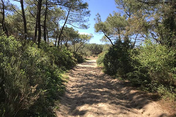 Hébergement Floresta - camping Blue Océan