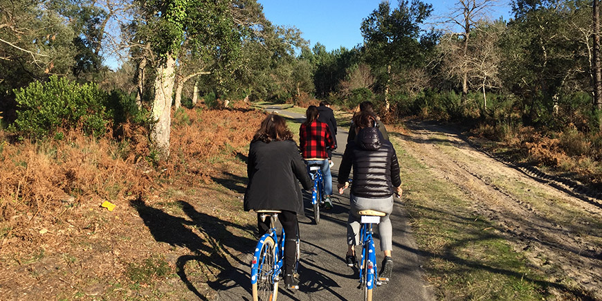 Bicicleta y BTT - camping Blue Océan