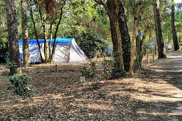 Hébergement Emplacement Tentes - camping Blue Océan