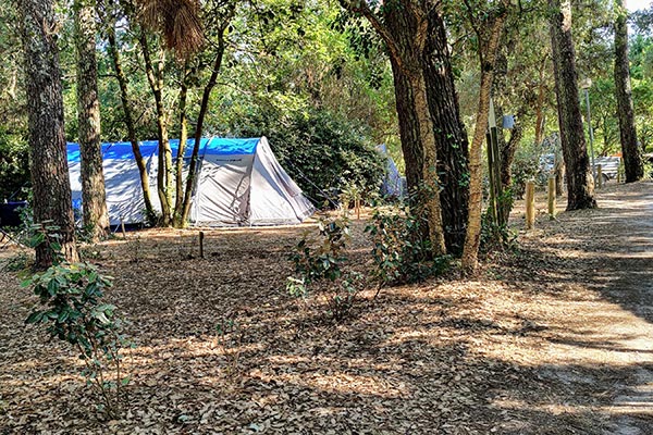 Hébergement Parcelas de tiendas - camping Blue Océan