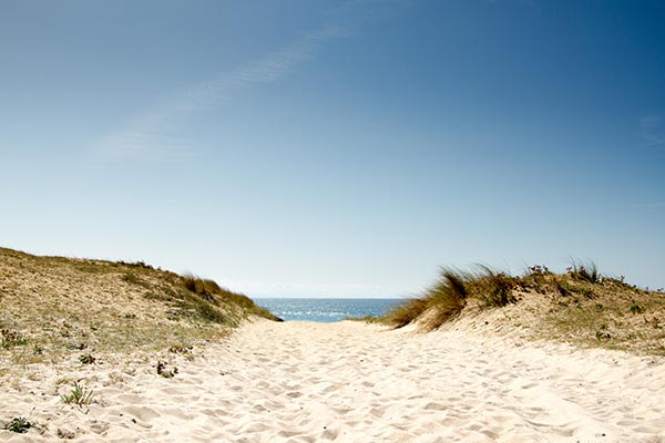 Hébergement Côté Sud - camping Blue Océan