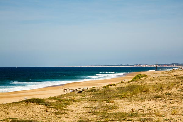 Hébergement Blue Surf  « Village » - camping Blue Océan