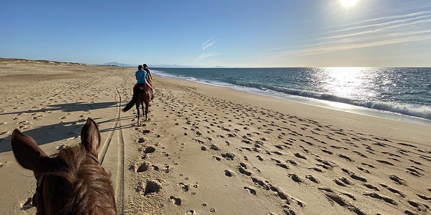 Horseriding - camping Blue Océan