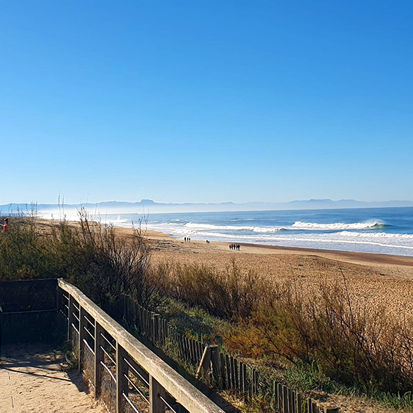 spots de surf connus
